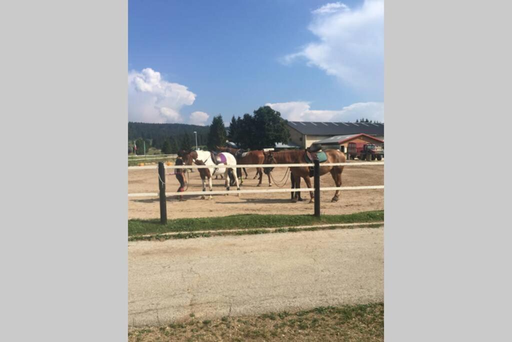 Appartement Rez De Chausse Maison Morbier Dış mekan fotoğraf