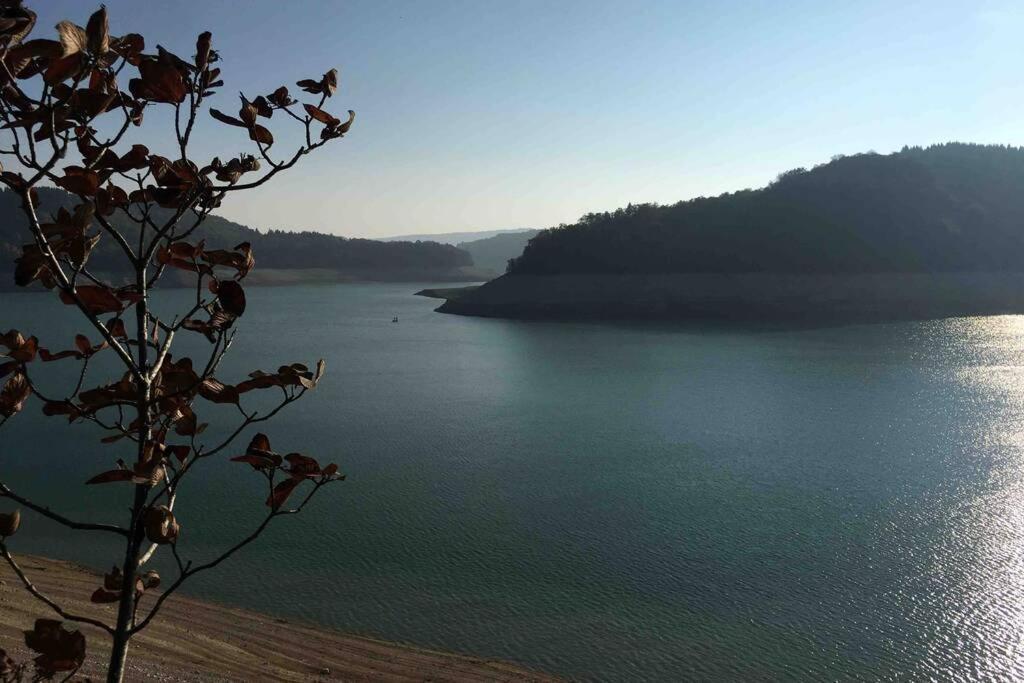 Appartement Rez De Chausse Maison Morbier Dış mekan fotoğraf